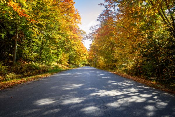Cost of Blacktop Replacement in Roseville